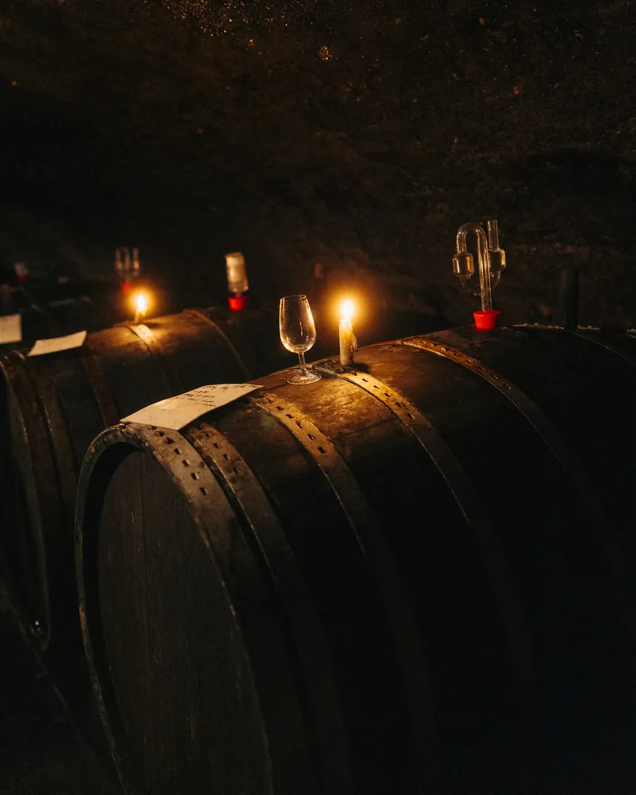 Holzfässer mit Kerzen und Probiergläsern im Keller